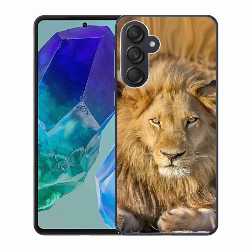 Gél védőhuzat mmCase Samsung Galaxy M55 5G - Lion 2