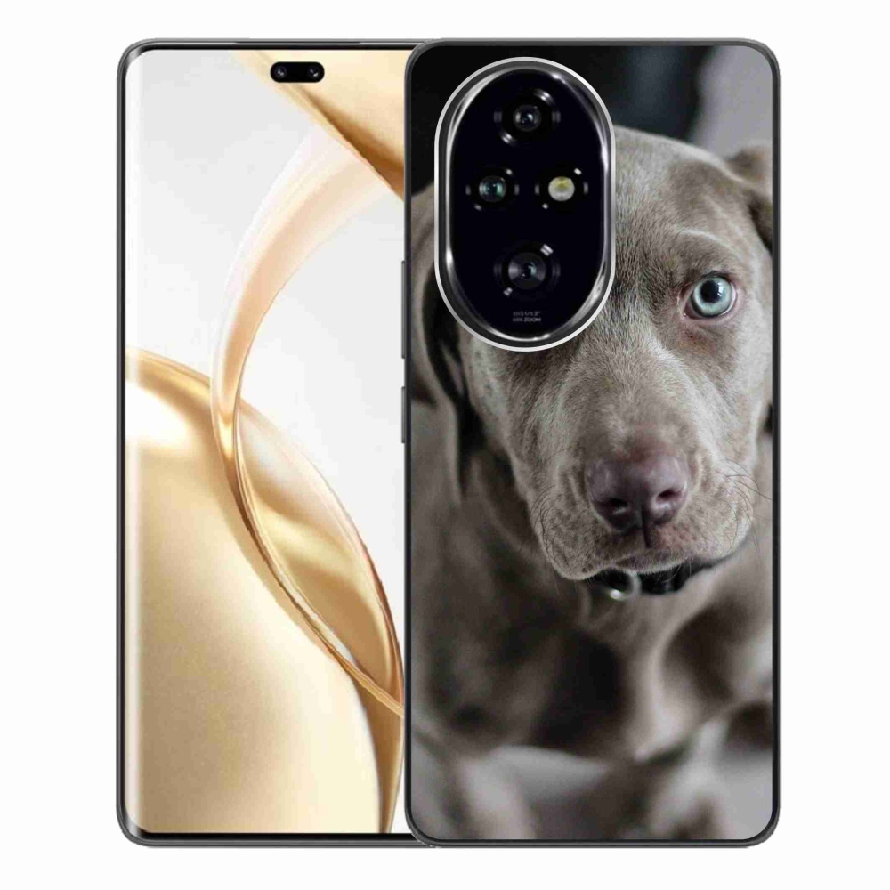 Gél tok mmCase a Honor 200 Pro 5G készülékhez - Exotic Hound