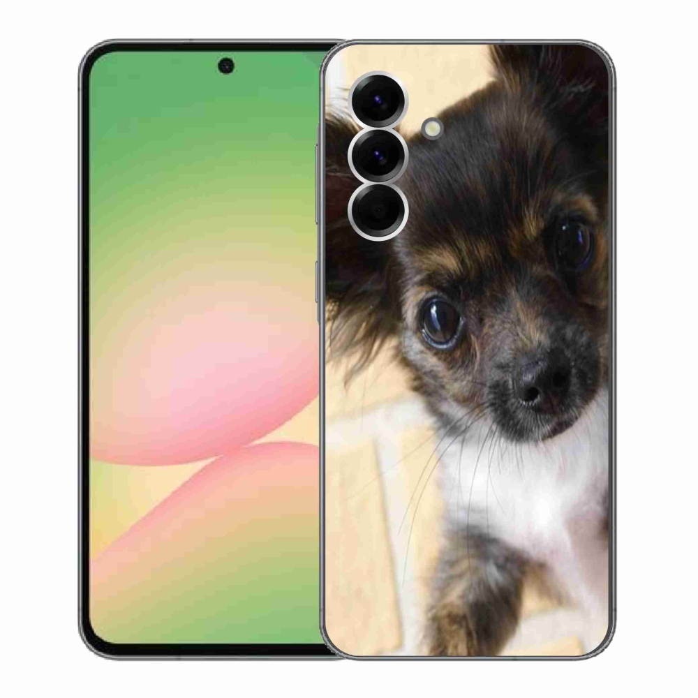 Gél borítás mmCase Samsung Galaxy A56 5G - chihuahua 2