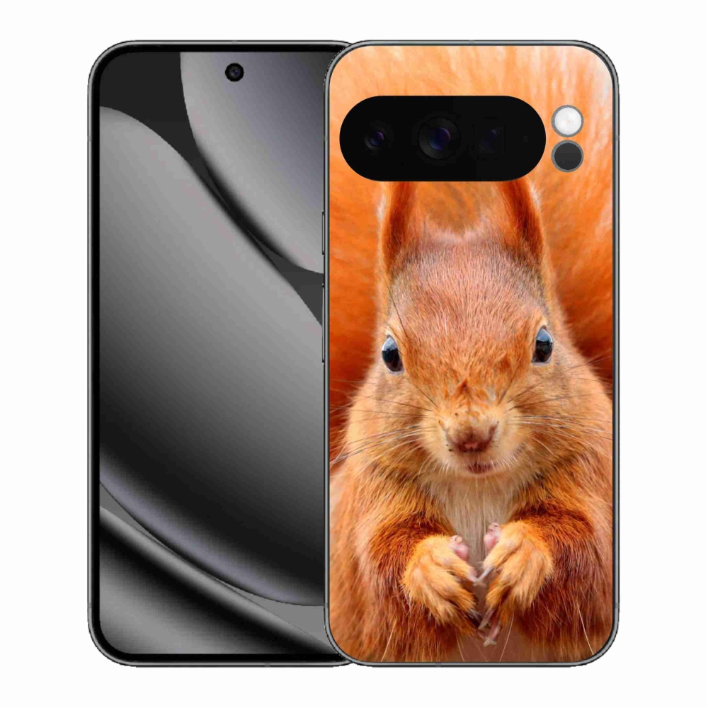 Zselés borítás mmCase a Google Pixel 10 Pro XL számára - mókus