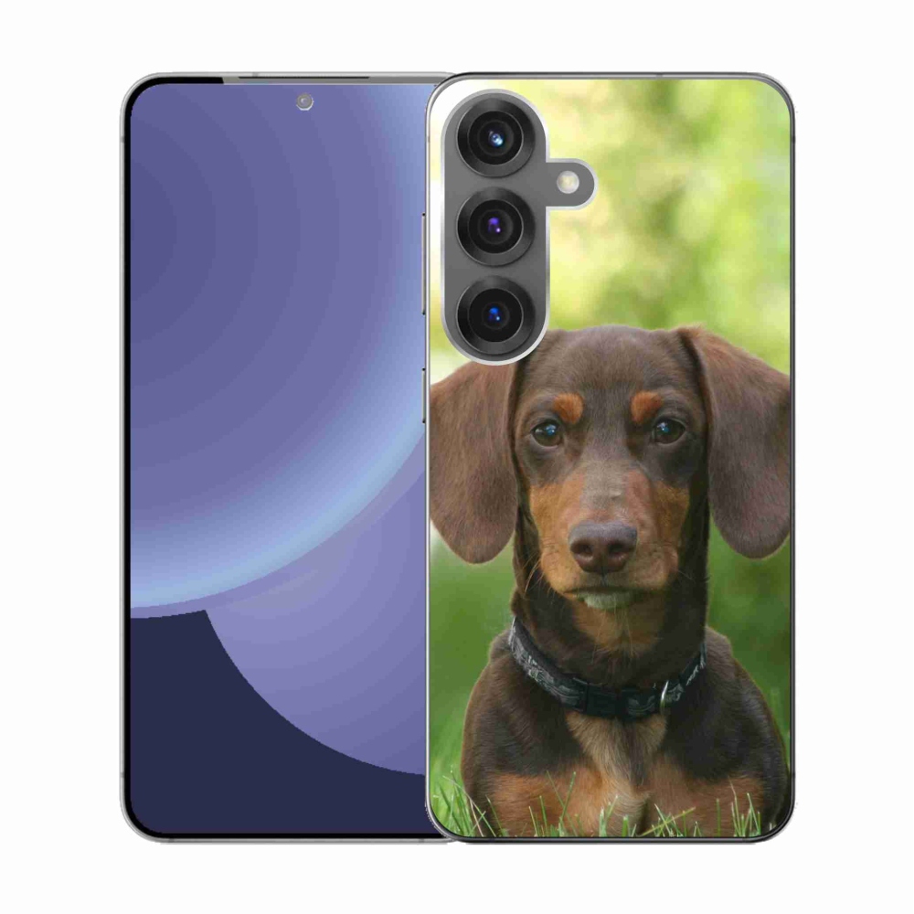 Gél borítás mmCase Samsung Galaxy S25 készülékhez - barna tacskó