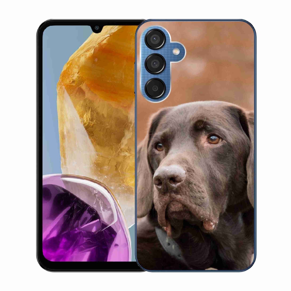 Gél tok mmCase a Samsung Galaxy M15 5G készülékhez - barna labrador