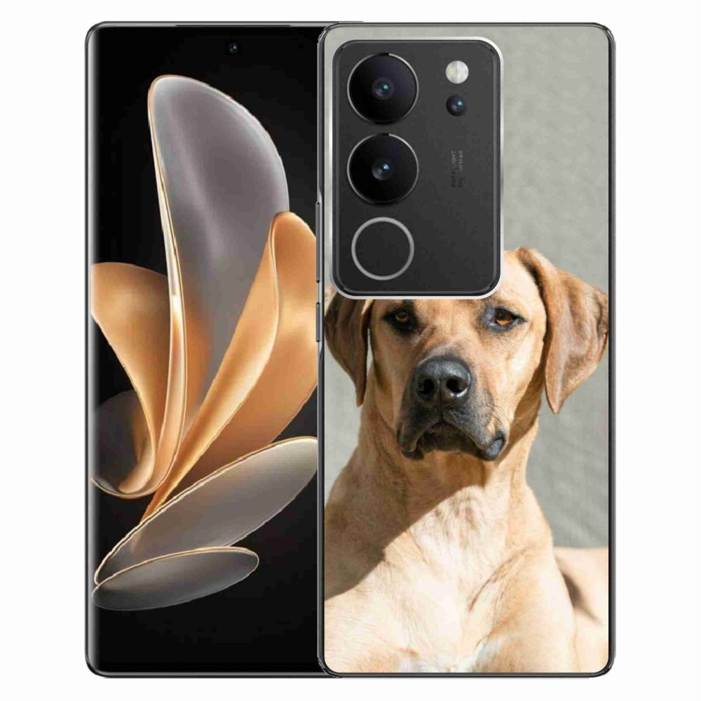 Gél borítás mmCase a Vivo V29 5G készülékhez - ridgeback