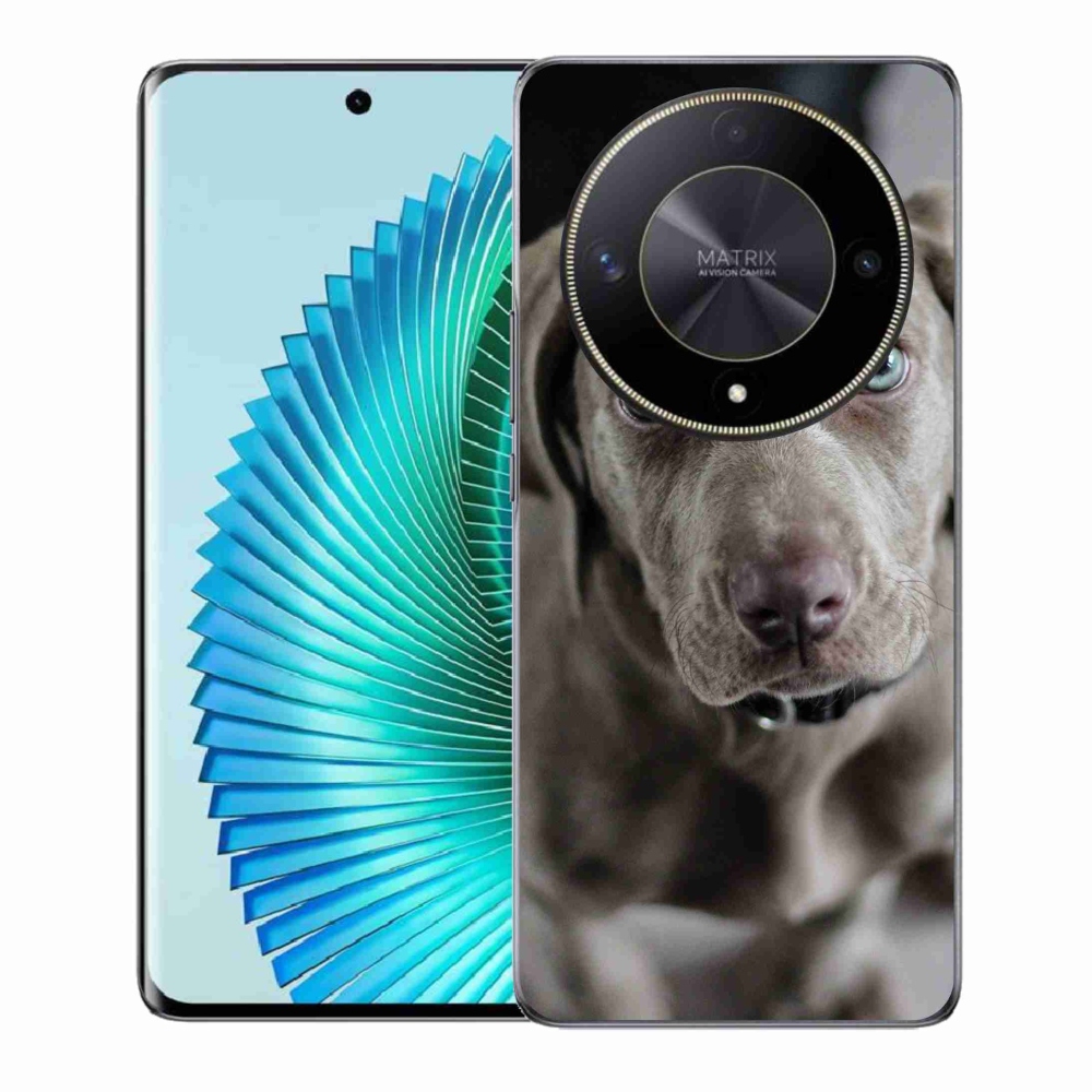 Gél tok mmCase a Honor Magic 6 Lite 5G számára - Exotic Hound