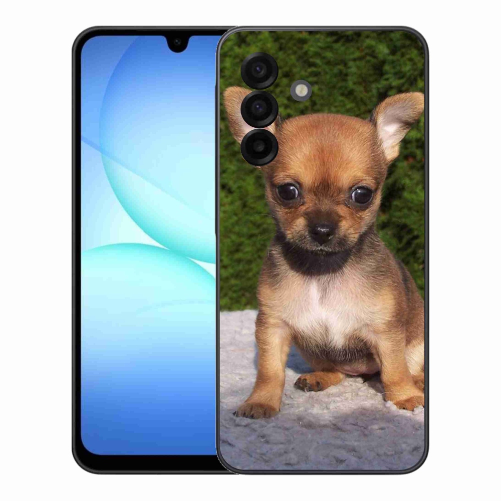 Gél borítás mmCase Samsung Galaxy A17 4G/5G - chihuahua 3