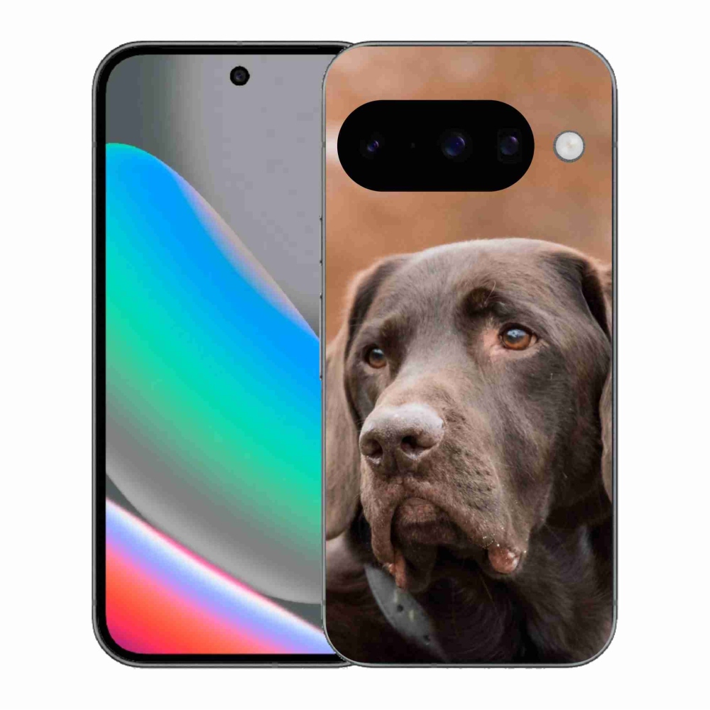 Zselés borítás mmCase a Google Pixel 10 készülékhez - barna labrador