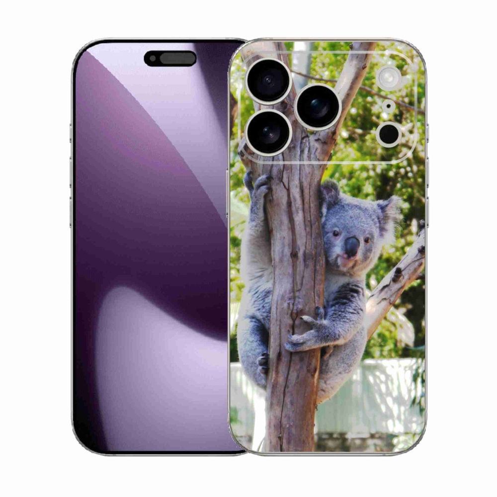 Zselés borítás mmCase iPhone 17 Pro készülékhez - koala