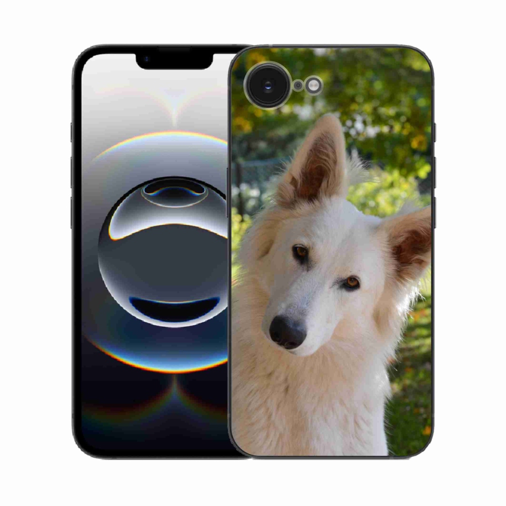 Gél borítás mmCase iPhone 16e készülékhez - Fehér svájci juhász 1