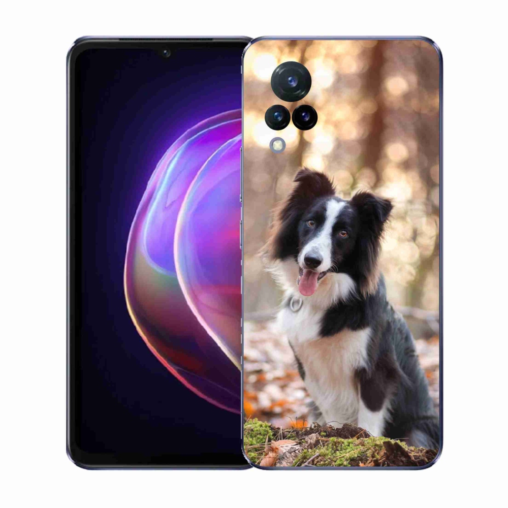 Gél borító mmCase a Vivo V21 4G/5G készülékhez - border colie 1
