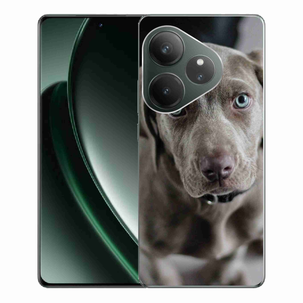 Gélhüvely mmCase a Realme GT 6 5G/GT 6T 5G számára - Weimaraner