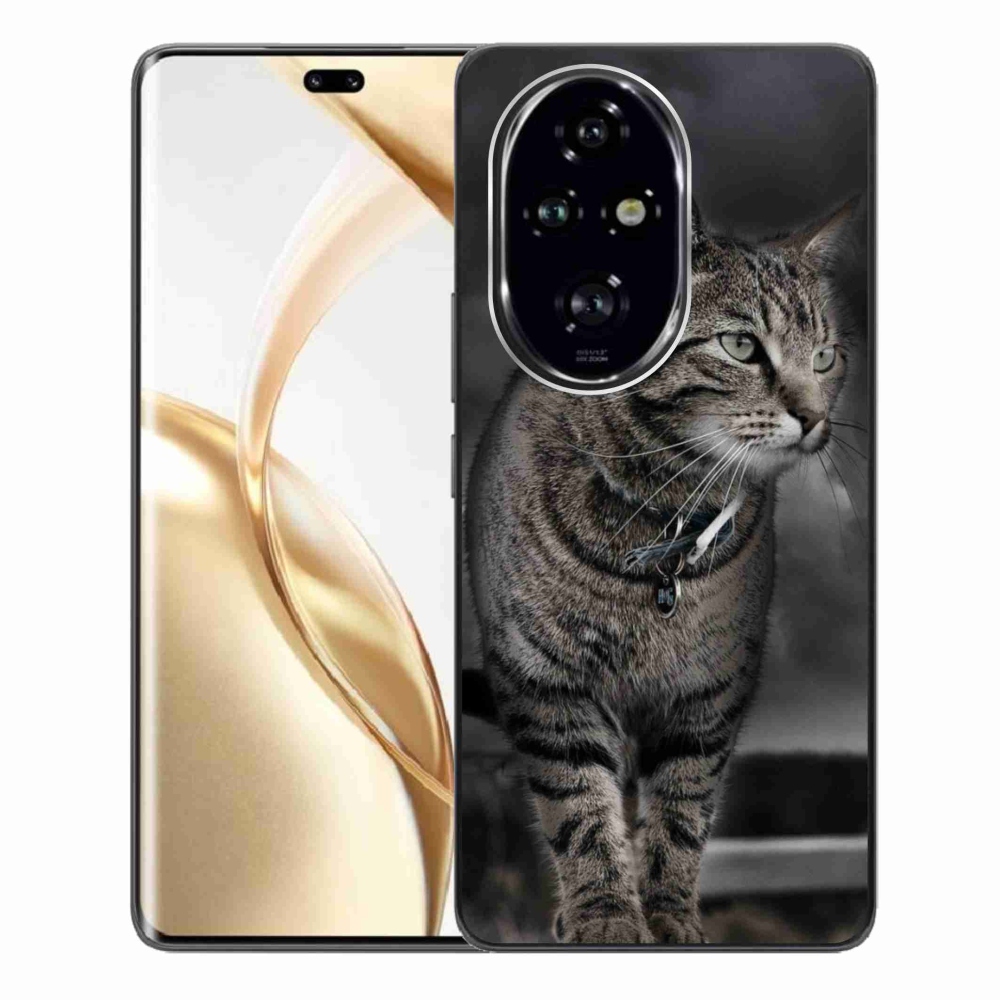 Zselés borítás mmCase a Honor 200 Pro 5G készülékhez - macska