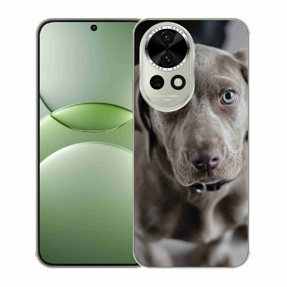 Gél borítás mmCase a Huawei Nova 13 5G-hez - a nemes vadászkutyához