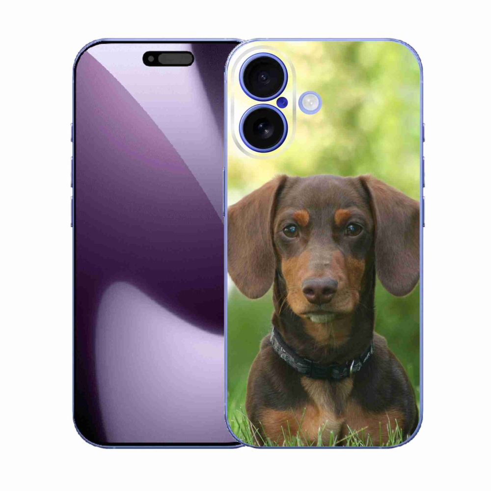 Zselés borítás mmCase iPhone 17 készülékhez - barna tacskó