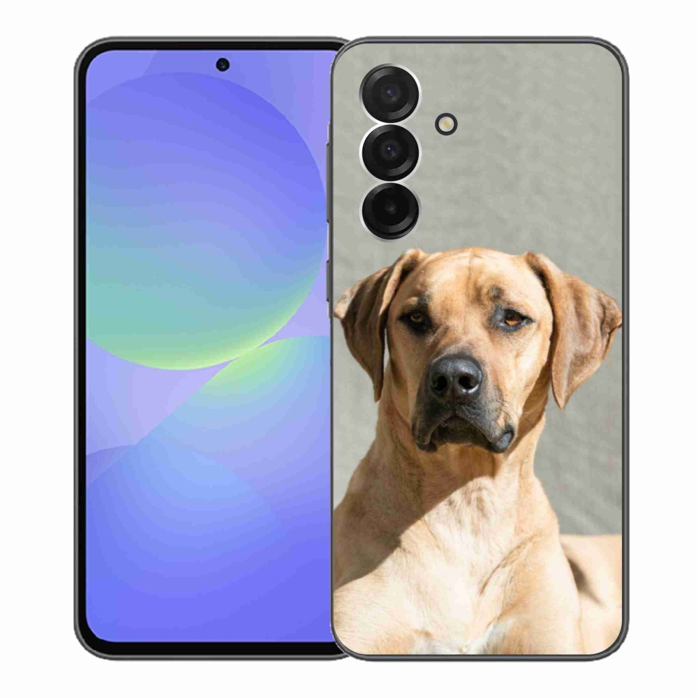 Zselés borítás mmCase Samsung Galaxy A36 5G - ridgeback