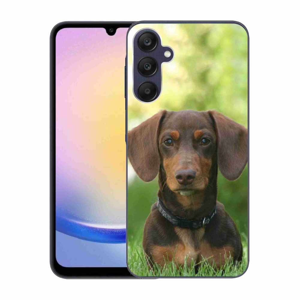 Gél tok mmCase a Samsung Galaxy A25 5G készülékhez - barna tacskó