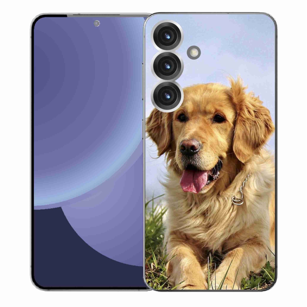 Gél borítás mmCase Samsung Galaxy S25+ készülékhez - arany retriever