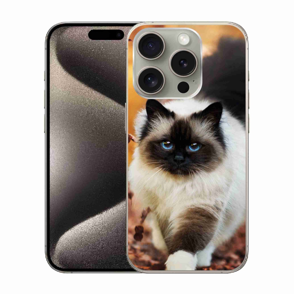 Gél tok mmCase iPhone 15 Pro készülékhez - macska