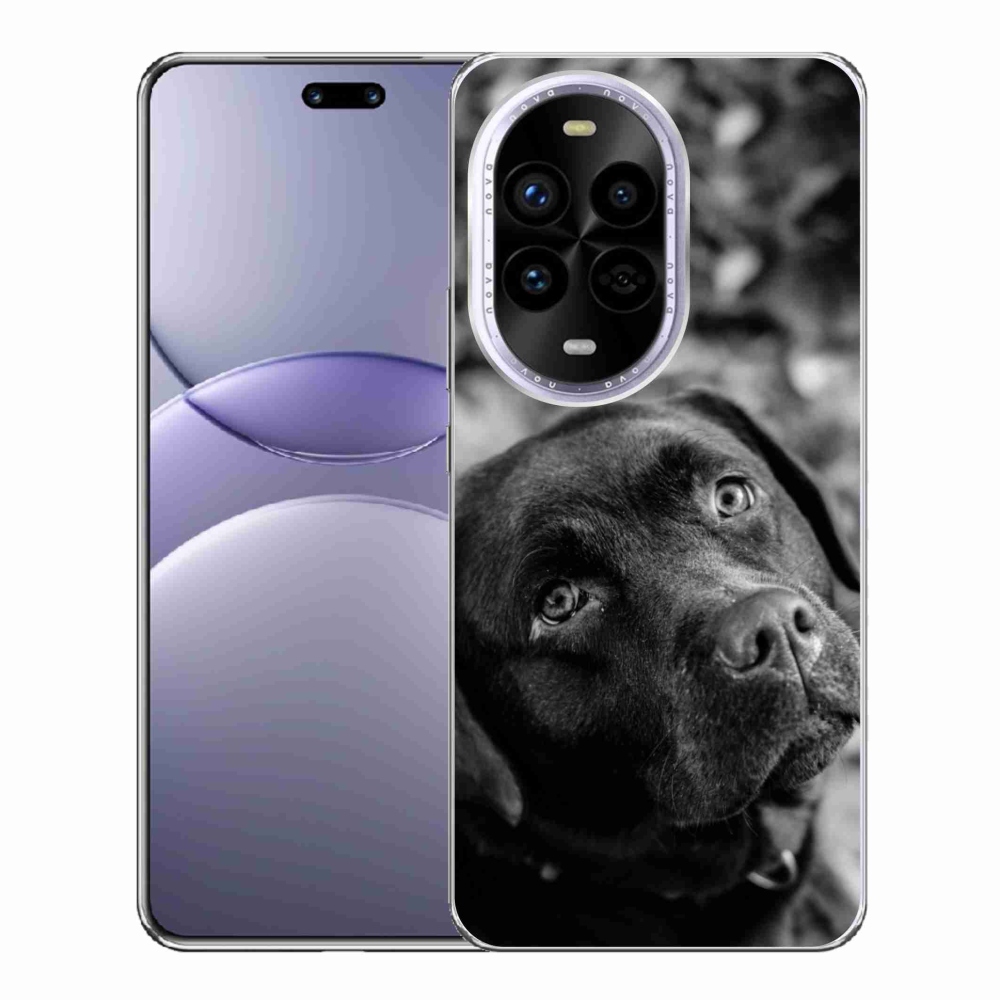 Gél borítás mmCase a Huawei Nova 13 Pro 5G készülékhez - labrador