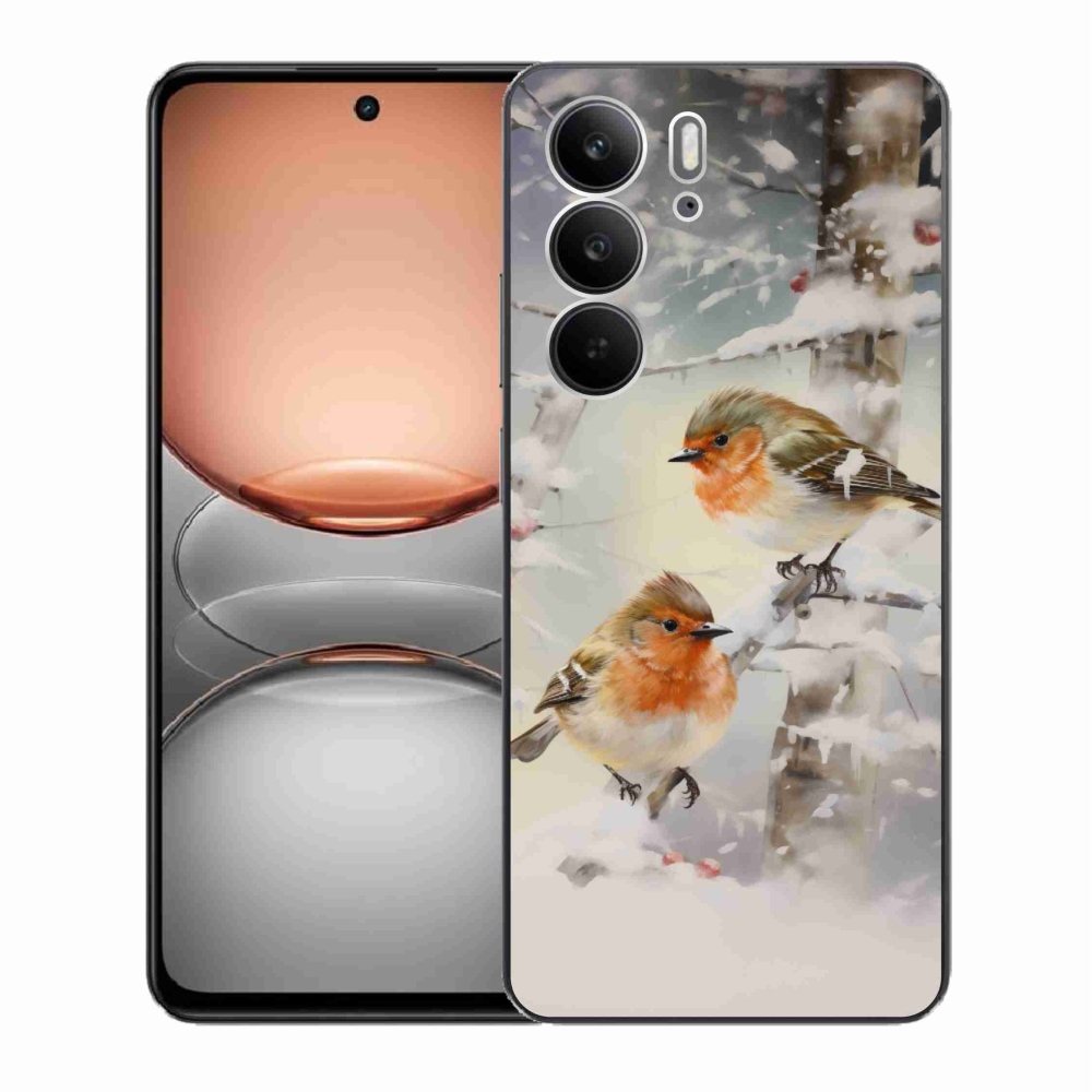 Gél borítás mmCase a Realme C75 készülékhez - madarak télen