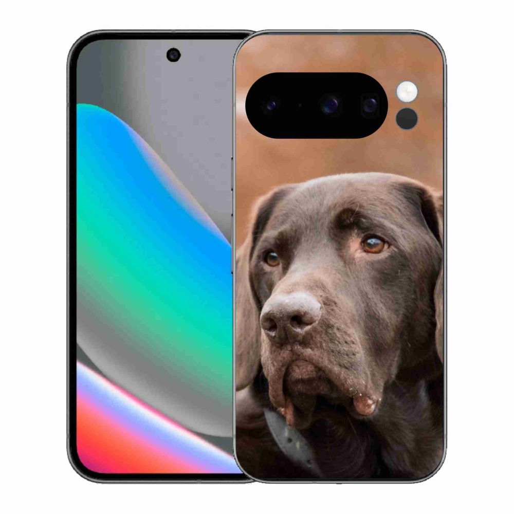 Gél borítás mmCase a Google Pixel 10 Pro számára - barna labrador