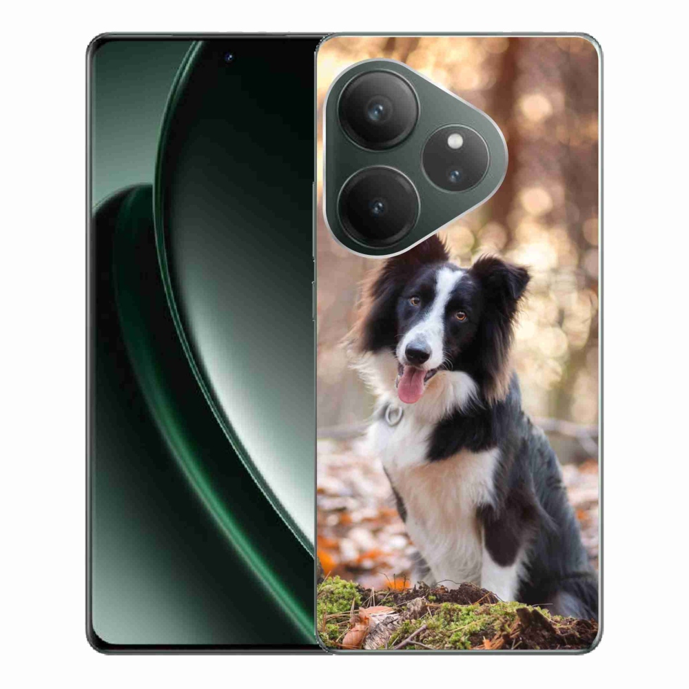 Gél tok mmCase a Realme GT 6 5G/GT 6T 5G - border colie 1