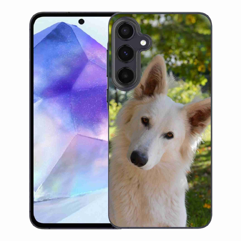 Gél borítás mmCase Samsung Galaxy A55 5G - Fehér svájci juhász 1