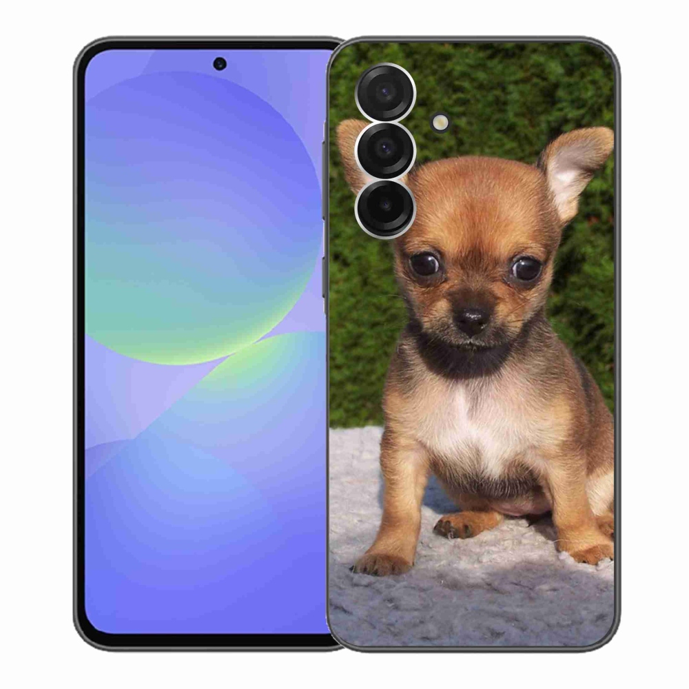 Gél borítás mmCase Samsung Galaxy A36 5G - chihuahua 3