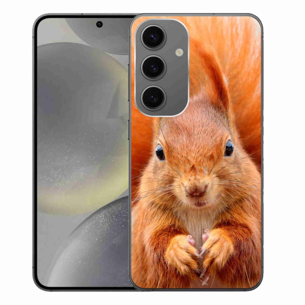 Zselés borítás mmCase Samsung Galaxy S24+ készülékhez - mókus