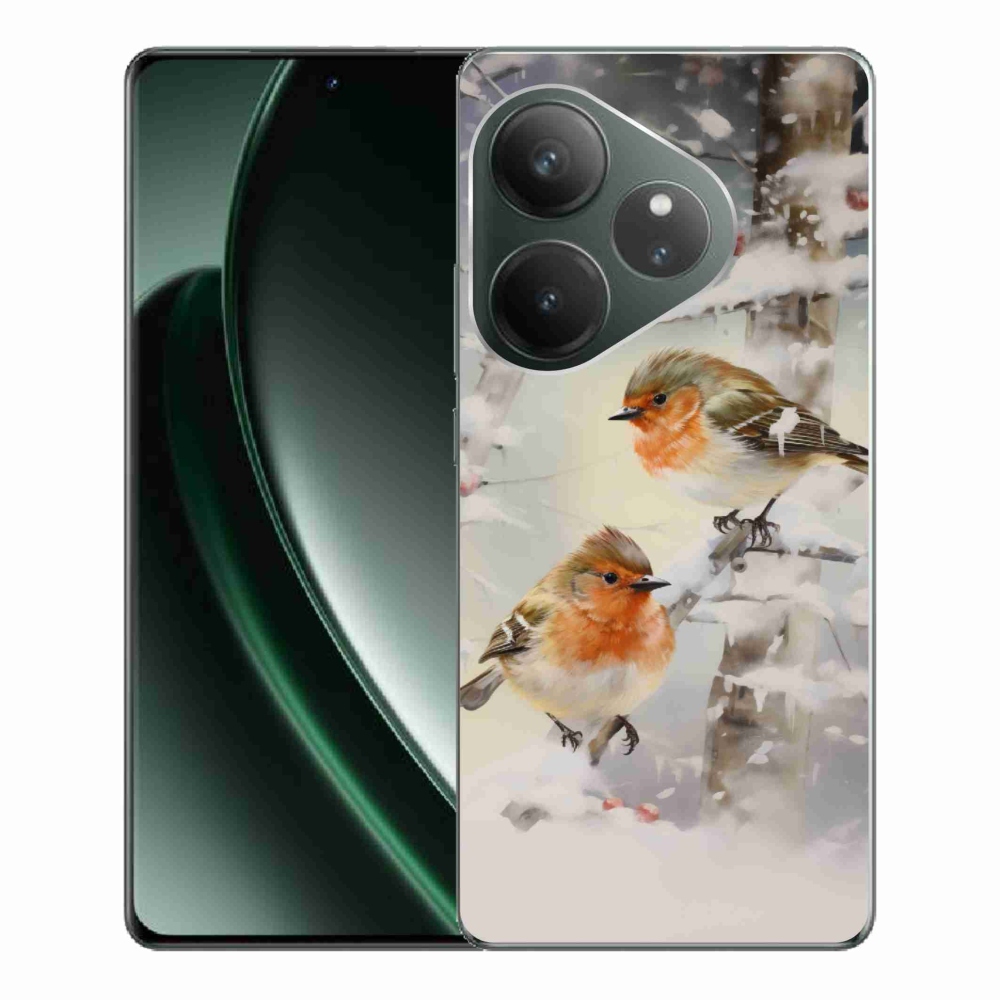 Zselés borítás mmCase a Realme GT 6 5G/GT 6T 5G számára - madarak télen