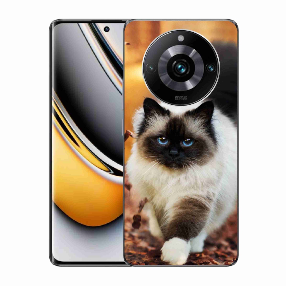 Gél tok mmCase a Realme 11 Pro/11 Pro+ készülékhez - macska