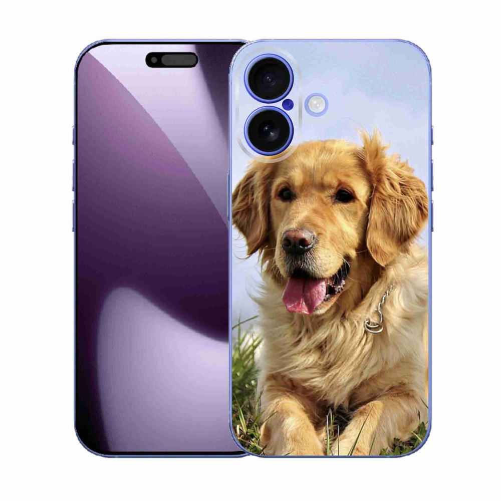Gél borítás mmCase iPhone 17 készülékhez - arany retriever