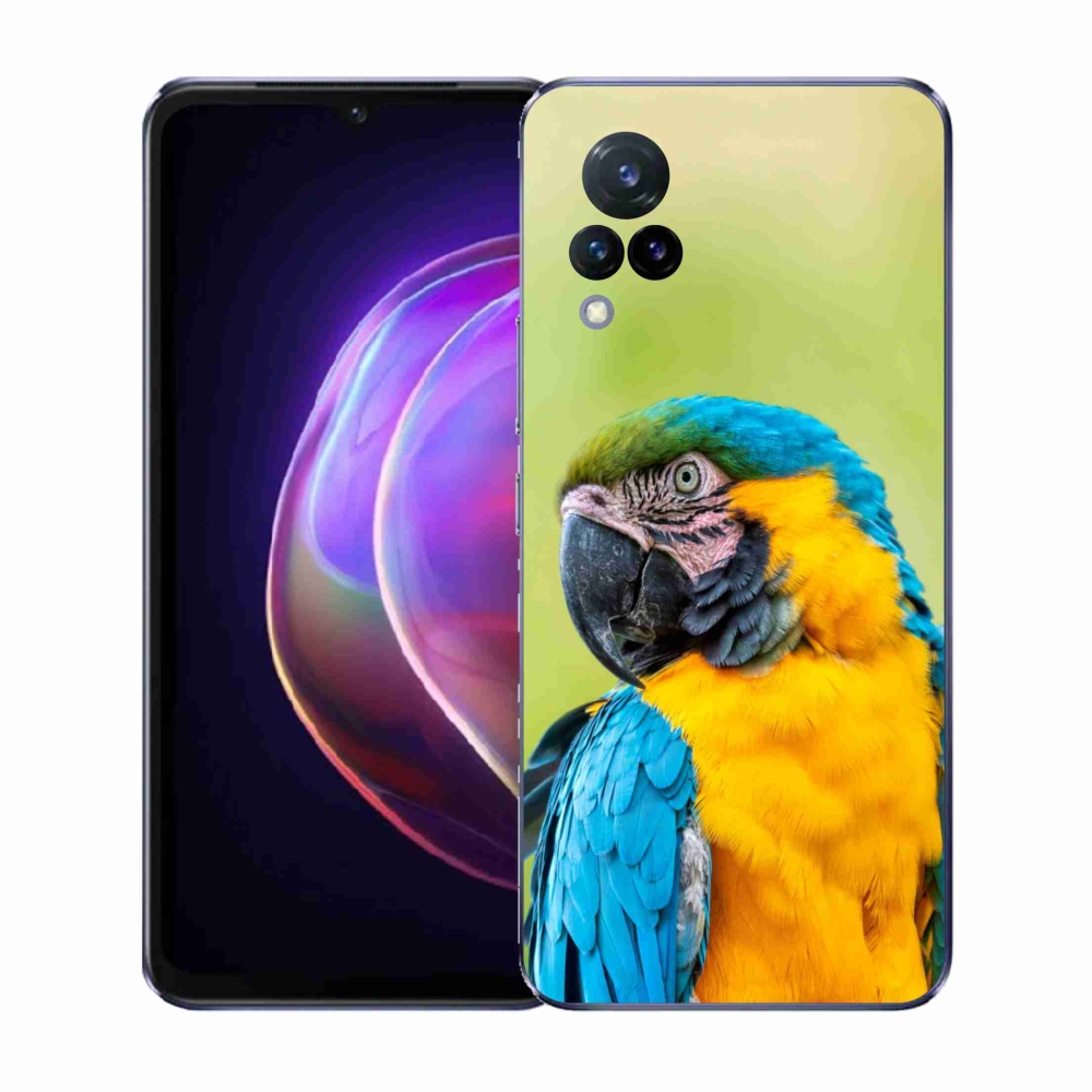 Gél borítás mmCase a Vivo V21 4G/5G készülékhez - papagáj ara 2