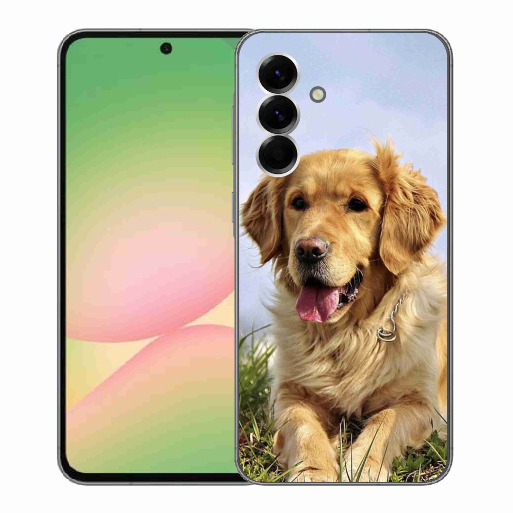 Gél borító mmCase Samsung Galaxy A56 5G - arany retrieverhez