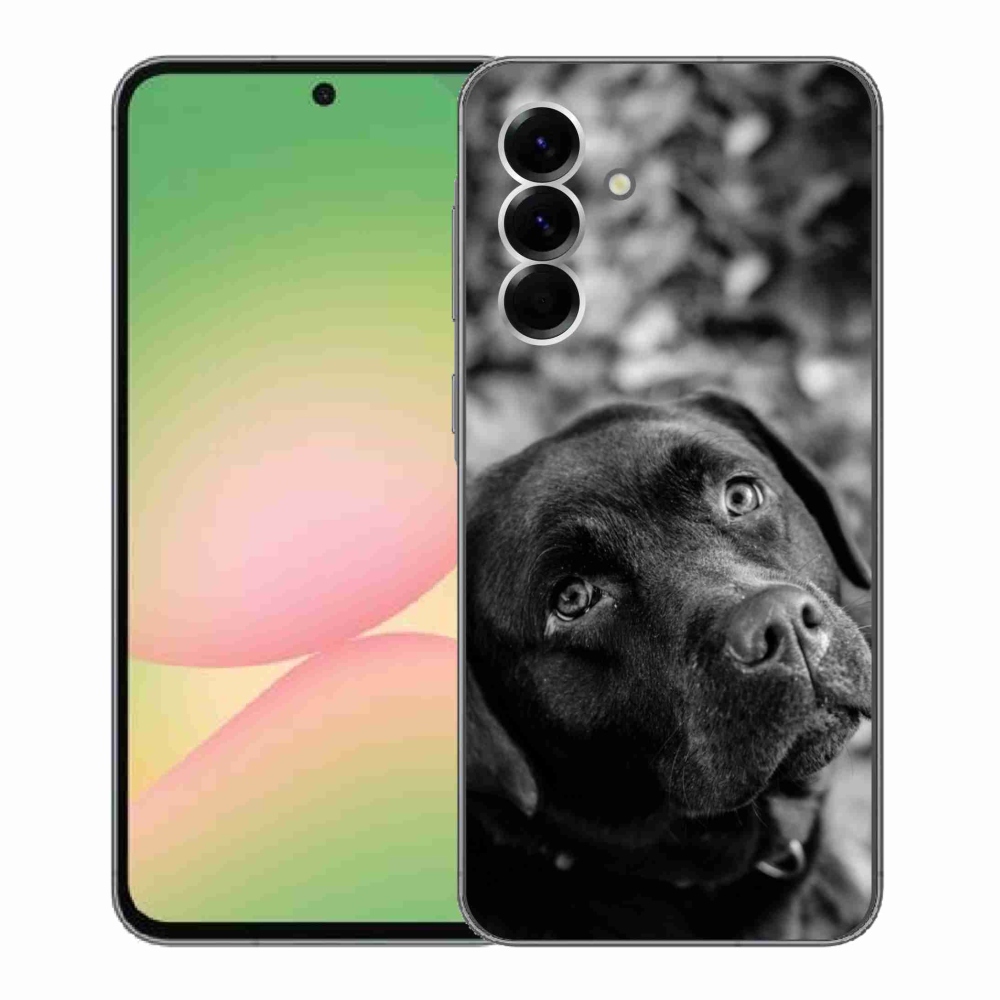 Gél borítás mmCase Samsung Galaxy A56 5G - labrador