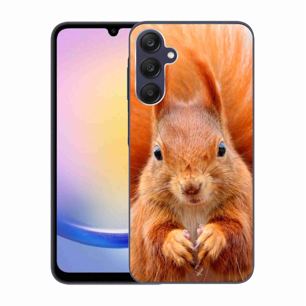 Zselés borítás mmCase Samsung Galaxy A25 5G - mókus