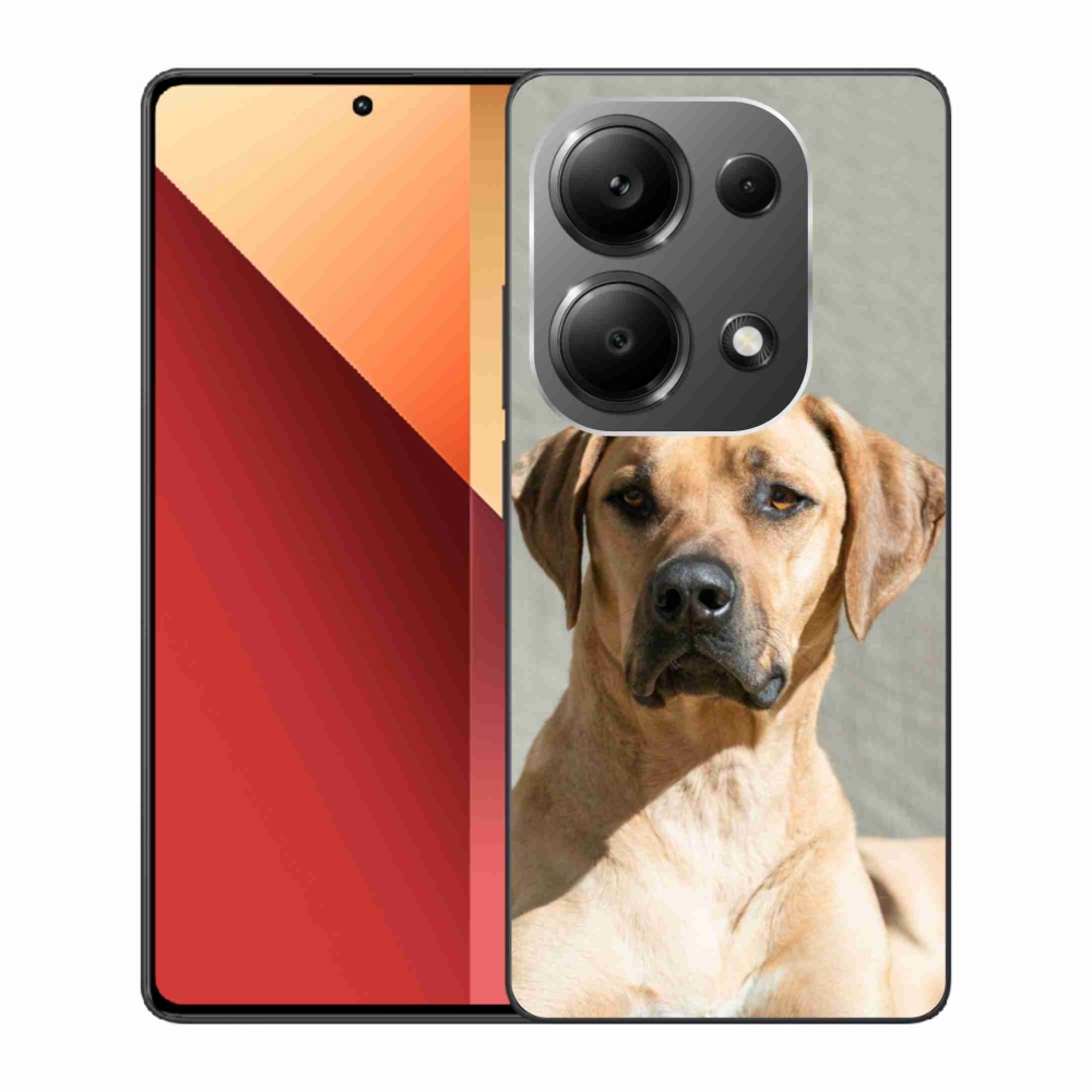 Gél borítás mmCase a Xiaomi Redmi Note 13 Pro 4G/Poco M6 Pro számára - ridgeback