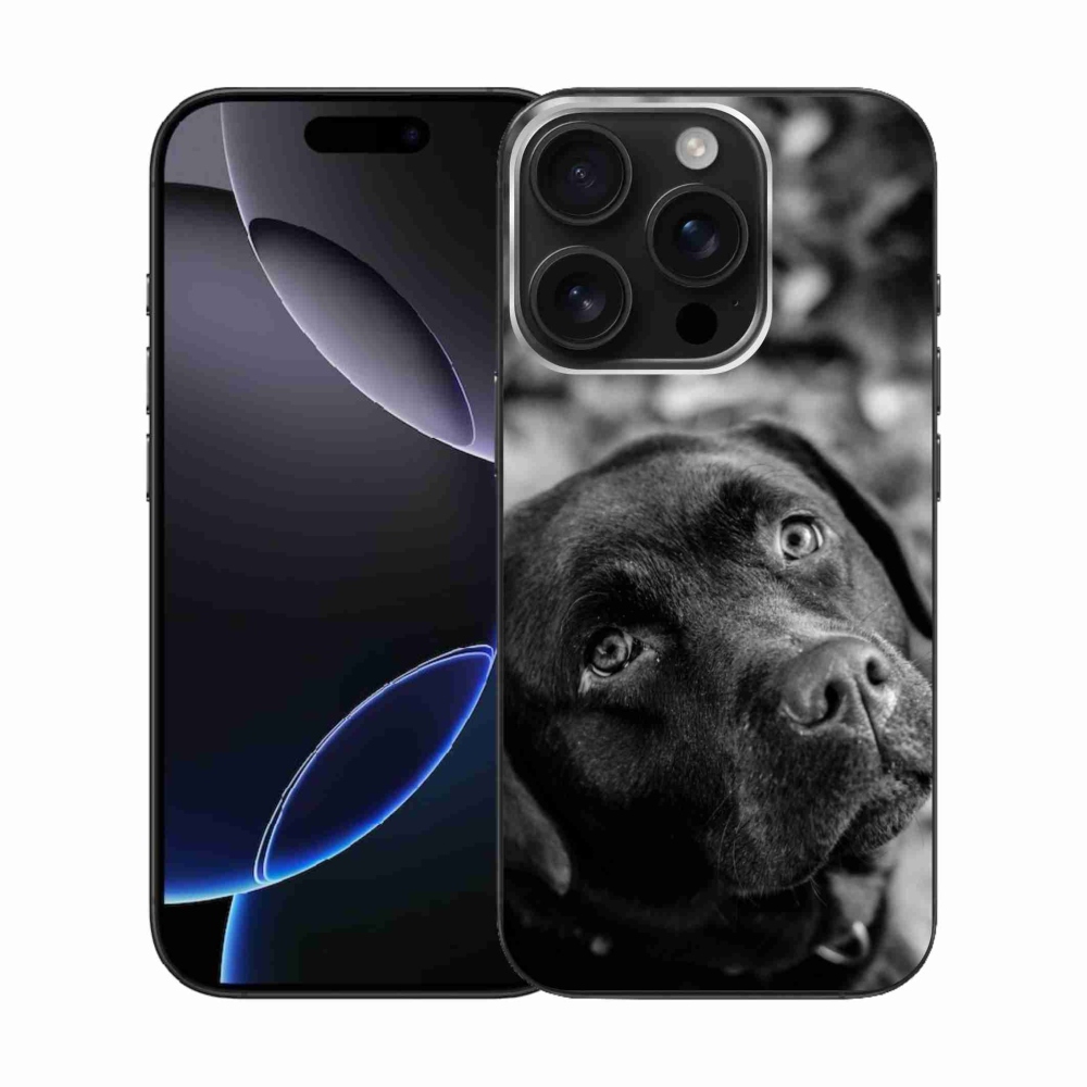 Gél tok mmCase iPhone 16 Pro készülékhez - labrador