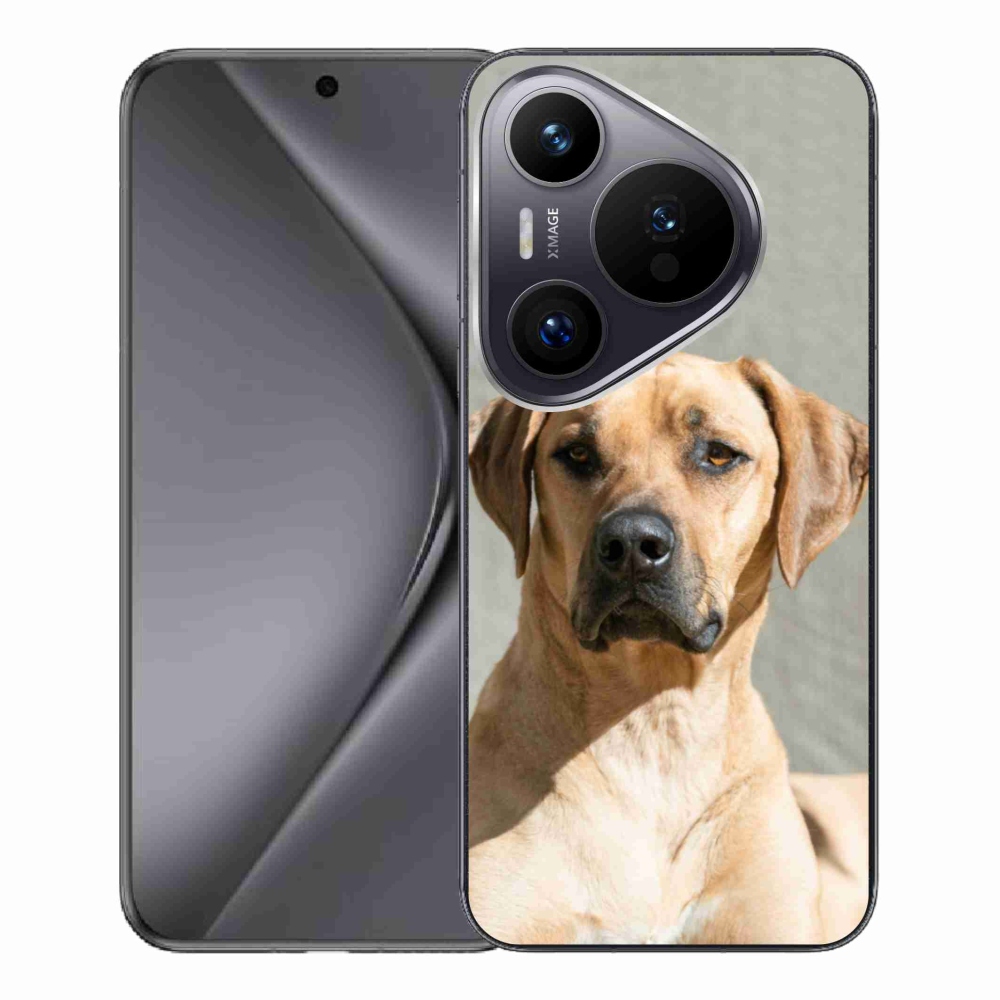 Gél borítás mmCase a Huawei Pura 70 Pro számára - ridgeback