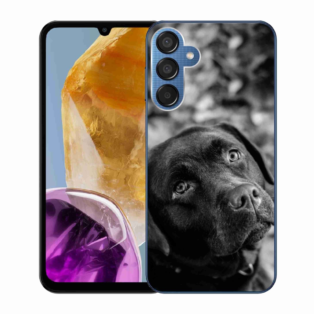 Gél tok mmCase a Samsung Galaxy M15 5G készülékhez - labrador színű