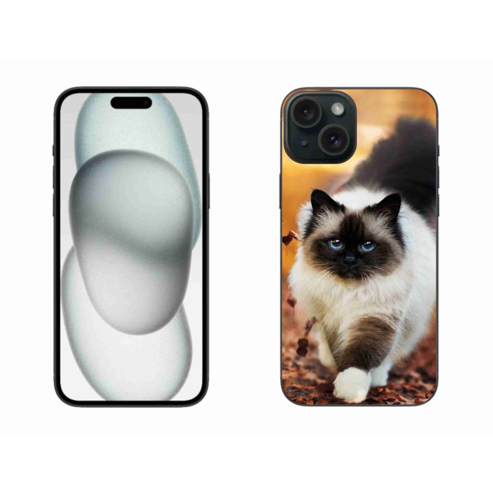 Gél tok mmCase iPhone 15 Plus készülékhez - macska