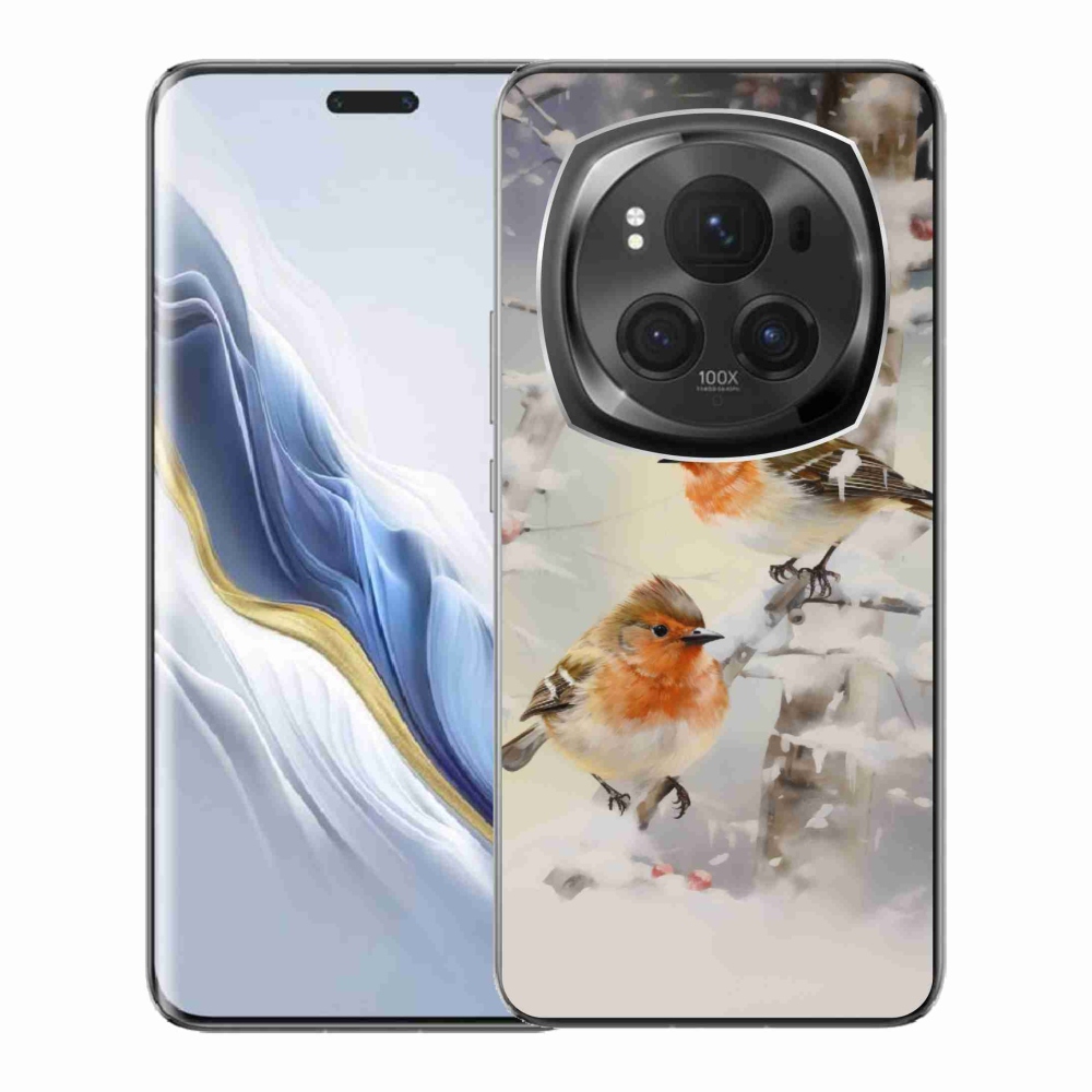 Zselés borítás mmCase a Honor Magic 6 Pro 5G számára - madarak télen