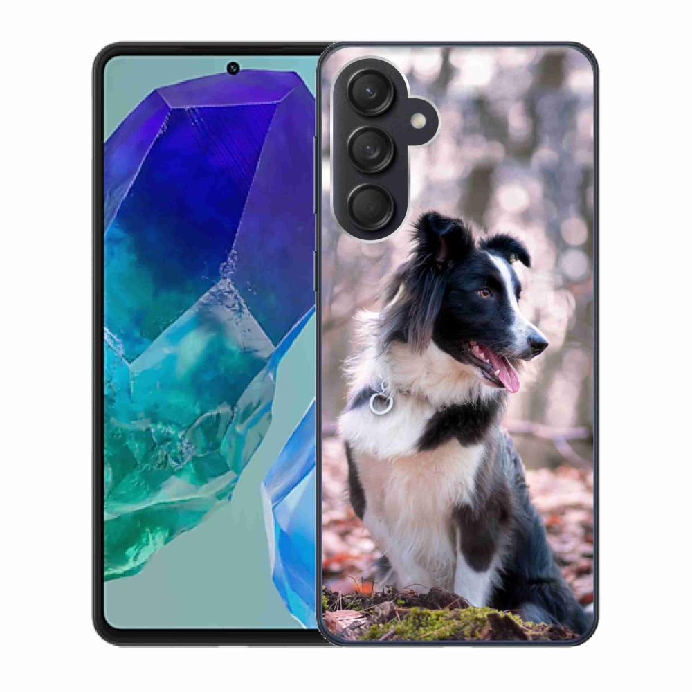 Gél tok mmCase Samsung Galaxy M55 5G - border colie 2