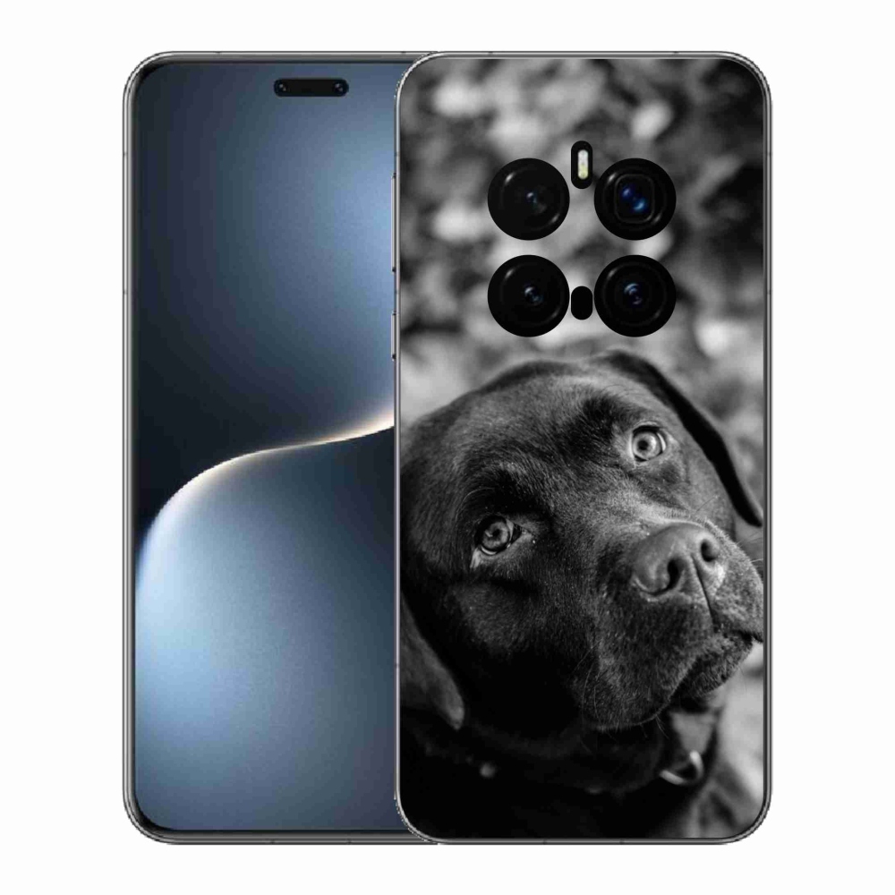 Gél borítás mmCase a Honor Magic 7 Pro 5G készülékhez - labrador