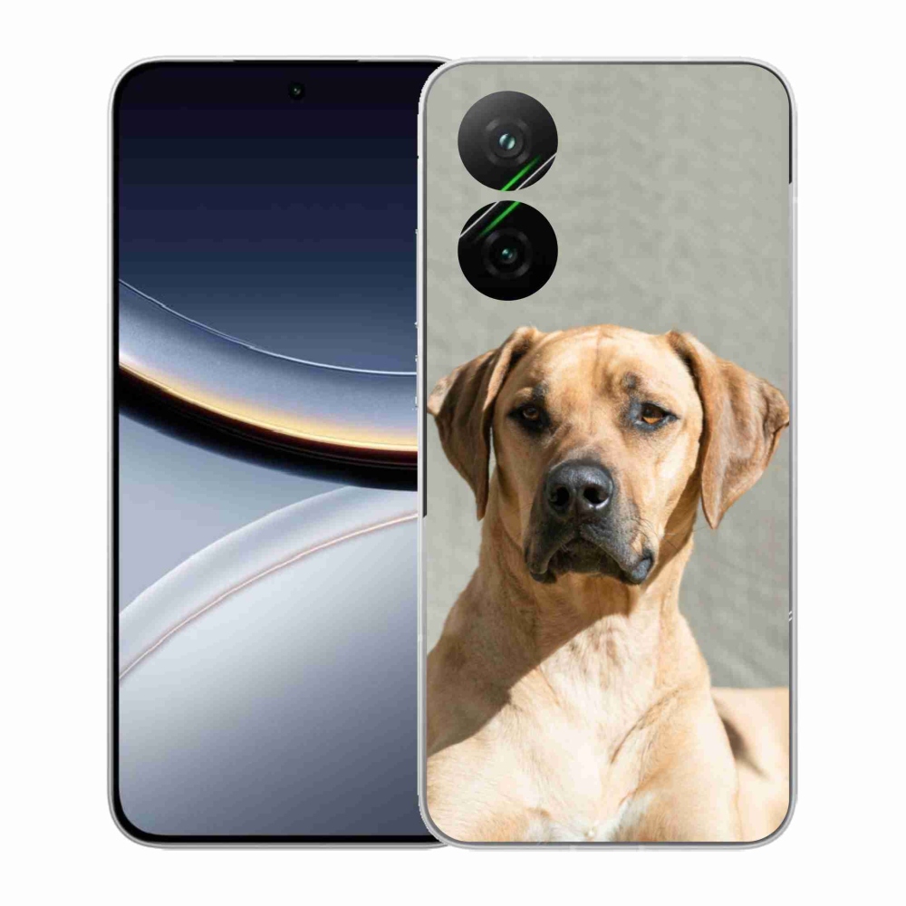 Gél borítás mmCase a Xiaomi Poco F7 5G számára - ridgeback