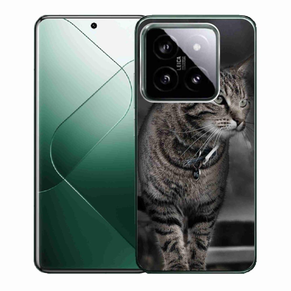 Gél borítás mmCase a Xiaomi 14 - macska számára