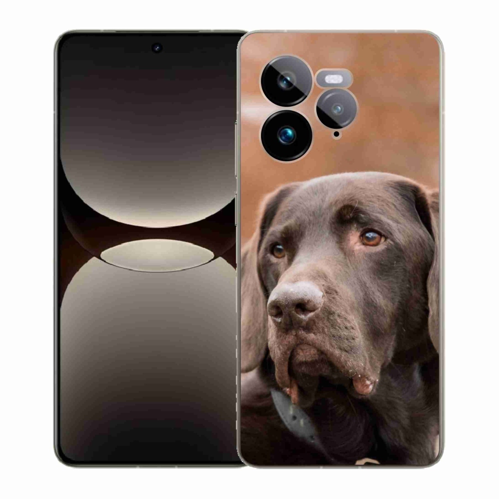 Gél borítás mmCase a Realme GT 7 Pro 5G készülékhez - barna labrador