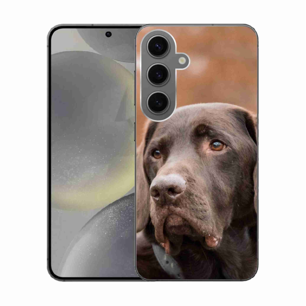 Zselés tok mmCase Samsung Galaxy S24 készülékhez - barna labrador