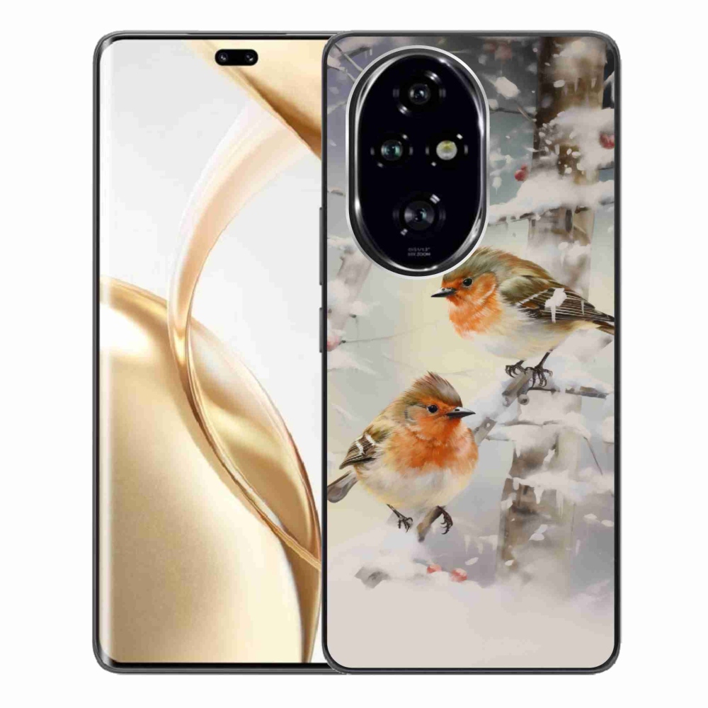 Zselés borítás mmCase a Honor 200 Pro 5G számára - madarak télen