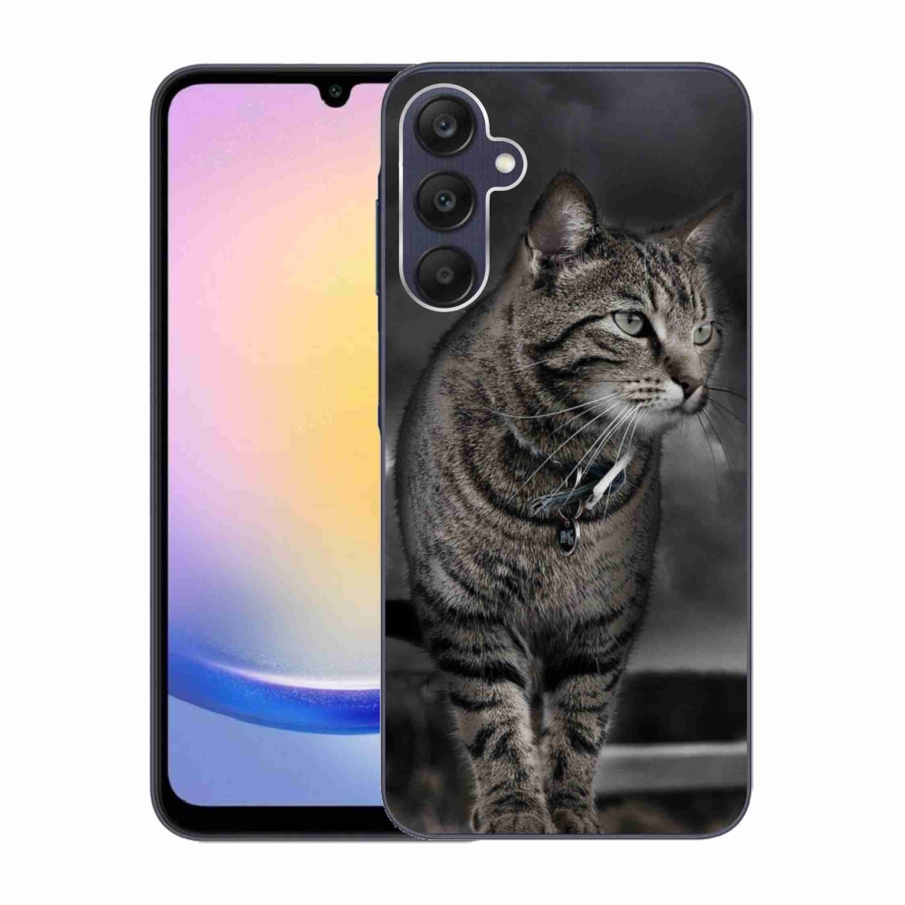 Zselés borítás mmCase Samsung Galaxy A25 5G - macska