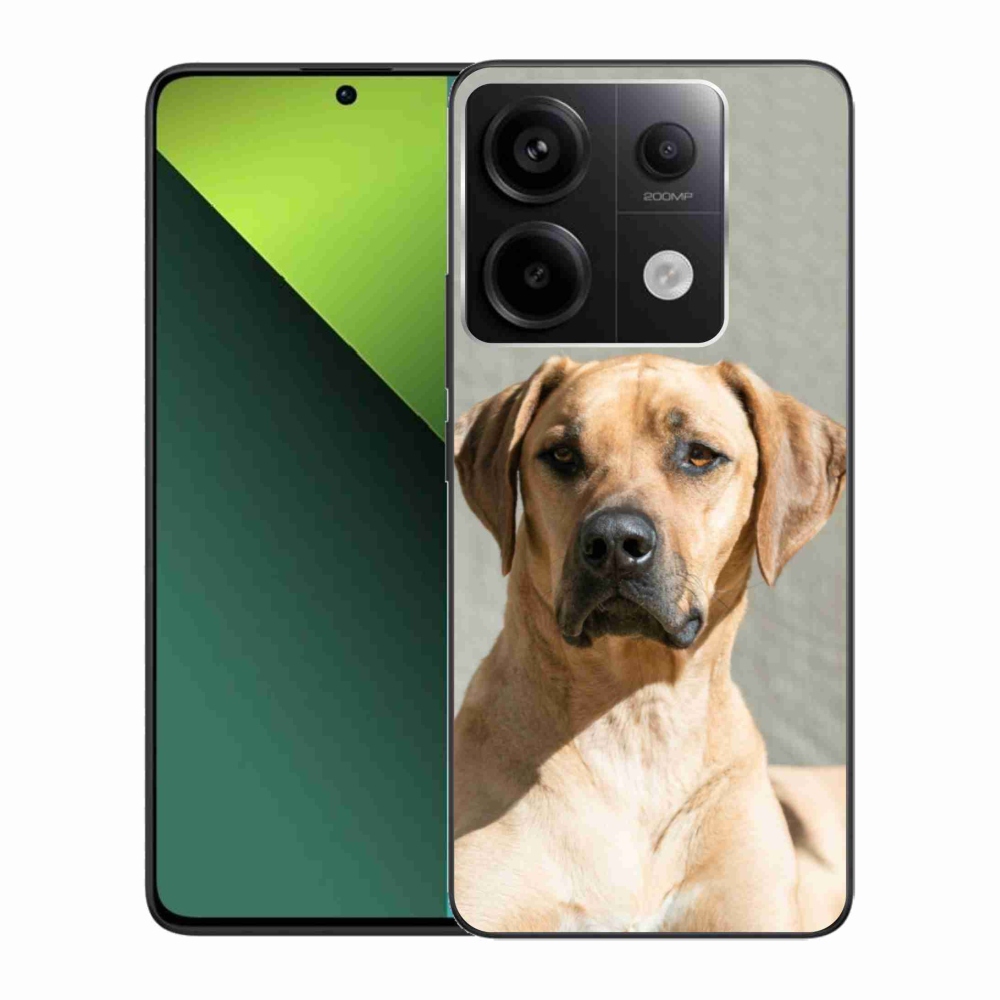 Gél borítás mmCase a Xiaomi Redmi Note 13 Pro 5G/Poco X6 5G számára - ridgeback